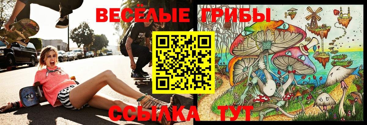 Чусовой  Псилоцибиновые грибы GOLDEN TEACHER  Вход с VPN  Псилоцибиновые грибы GOLDEN TEACHER 