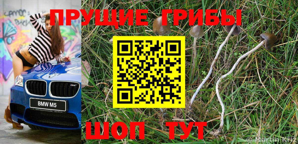 Галлюциногенные грибы MAGIC MUSHROOMS Чусовой
