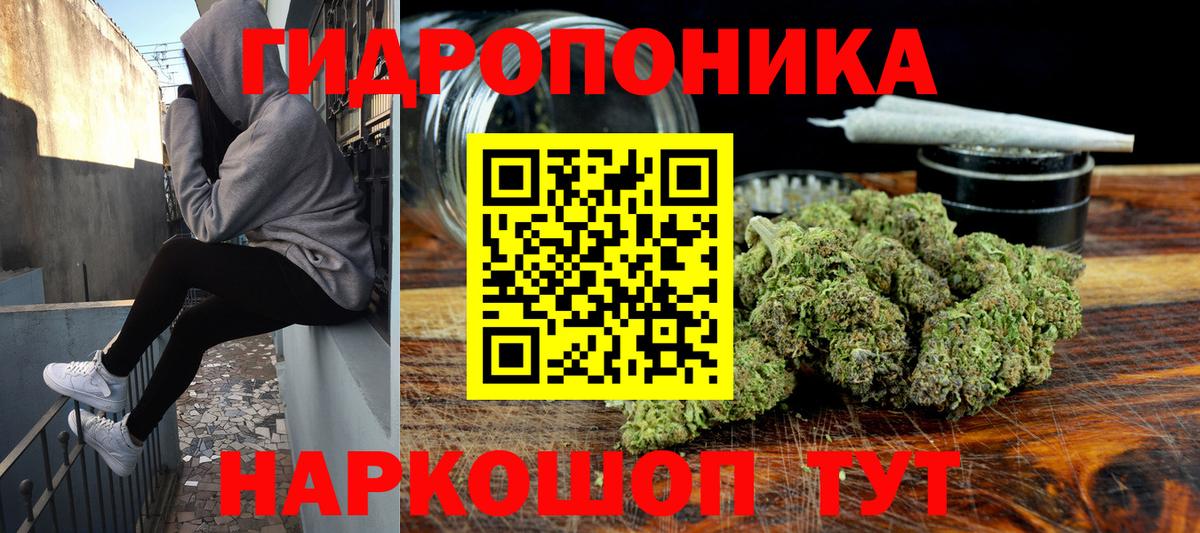 Шишки марихуана White Widow Чусовой